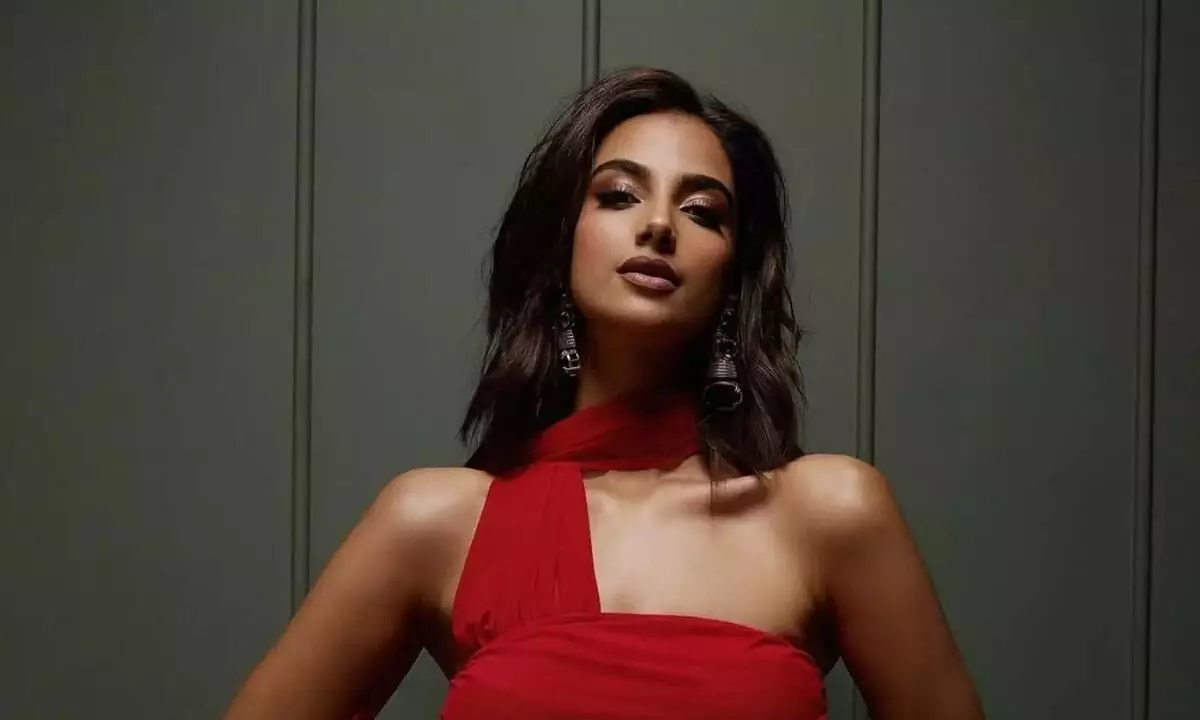 బాలీవుడ్ లో కి మీనాక్షి చౌదరి? బాలీవుడ్ లో కి మీనాక్షి చౌదరి?
