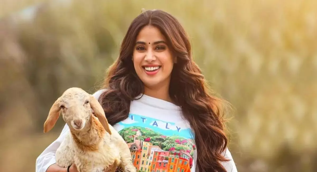 ‘పెద్ది’ షూట్ లోకి తిరిగి జాన్వీ కపూర్ ! ‘పెద్ది’ షూట్ లోకి తిరిగి జాన్వీ కపూర్ !