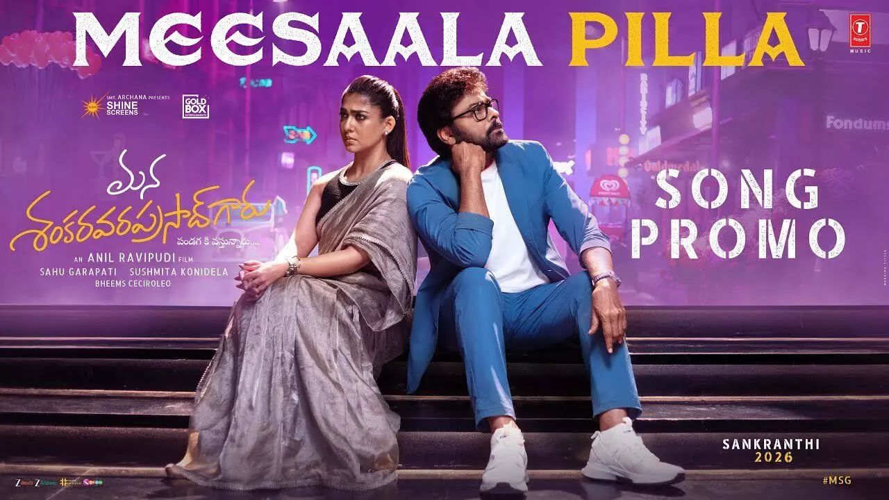 మీసాల పిల్ల వచ్చేసింది! మీసాల పిల్ల వచ్చేసింది!
